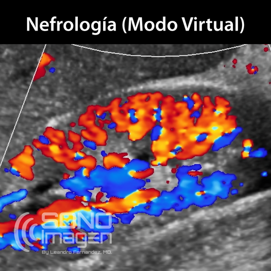 Curso Doppler en Nefrología MODO VIRTUAL